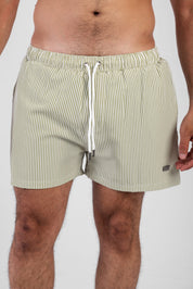 Regular Fit Swim Shorts 2