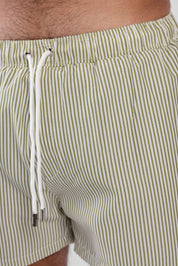 Regular Fit Swim Shorts 2